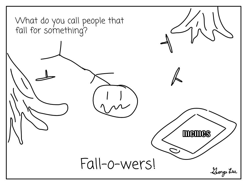 What do you call people that fall for something? Fall-o-wers!